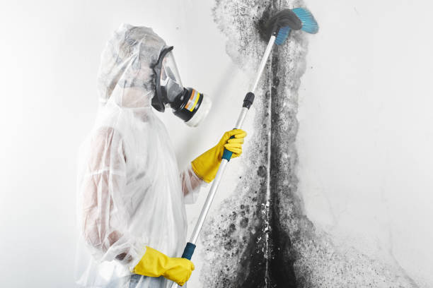 Best Airborne Mold Testing  in Five Points, OH