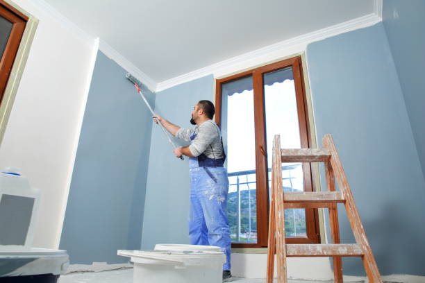 Trusted Five Points, OH Mold Removal Experts