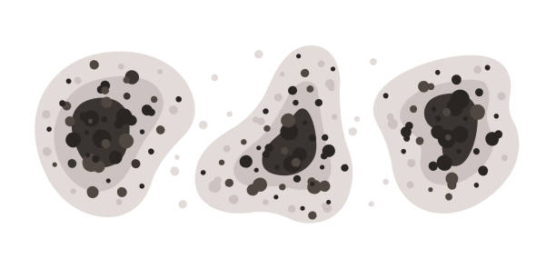 Best Air Quality Testing for Mold Spores  in Five Points, OH
