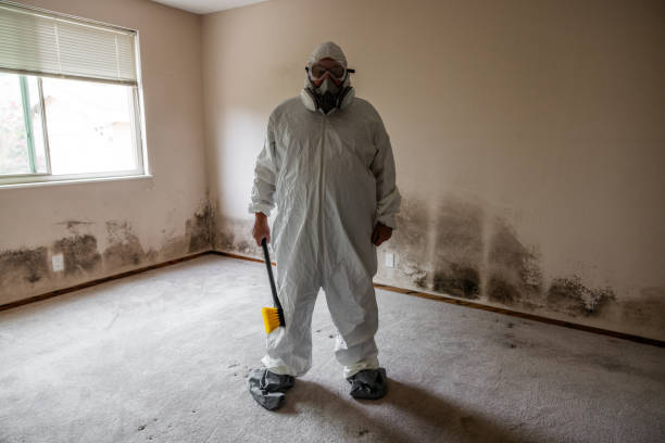 Best Mold Remediation for Healthcare Facilities  in Five Points, OH